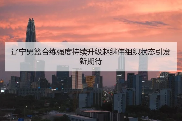 辽宁男篮合练强度持续升级赵继伟组织状态引发新期待