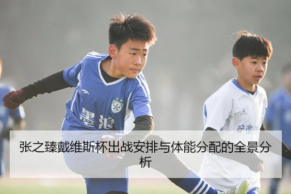 张之臻戴维斯杯出战安排与体能分配的全景分析